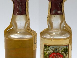 Cacau