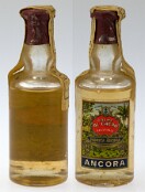 Cacau