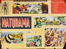 Naturama (Versión Venezolana)