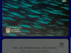 Sistema_Telebras