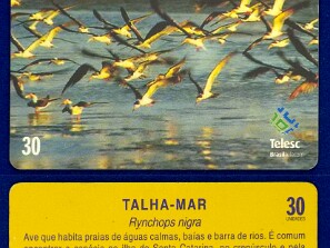 TeleSC