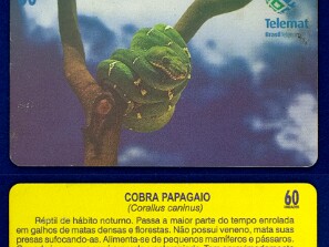 Telemat