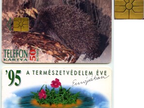 Hungarian_Telecommunications_Company_(MATAV)