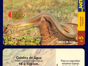 ANTEL
