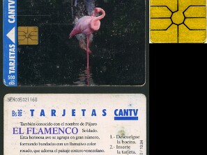 Aves - Primeira edição