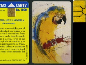 Aves_Tropicales