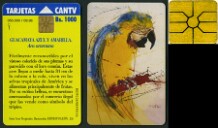 Aves_Tropicales
