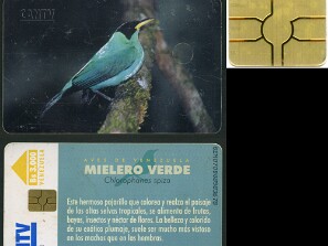 Aves_de_Venezuela