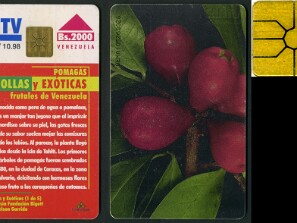 Criollas y Exóticas