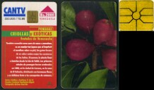 Criollas y Exóticas