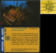Fauna_Marina_II