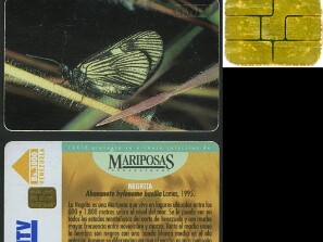Mariposas_Venezolanas