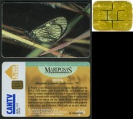 Mariposas_Venezolanas