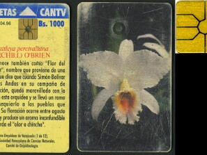 Orquídeas de Venezuela