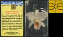 Orquídeas de Venezuela