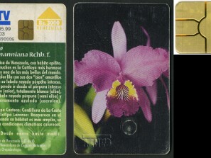 Orquídeas de Venezuela II