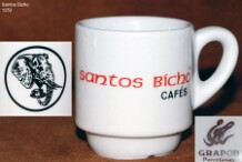 Santos_Bicho