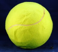 Tenis