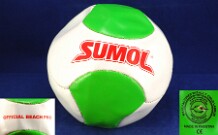 Voleibol