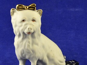 Felinos_e_Canideos