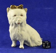 Felinos_e_Canideos