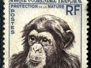 1955