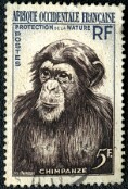 1955
