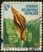 1958