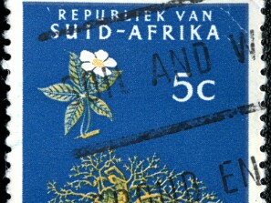 1961