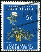 1961