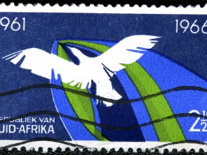 1966