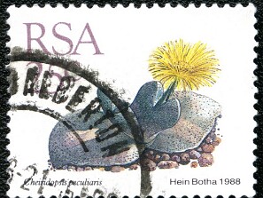 1988