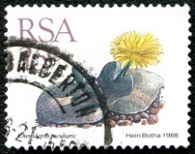 1988