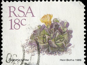 1989