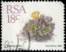 1989