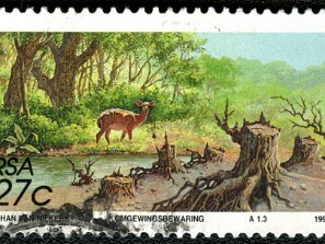1992