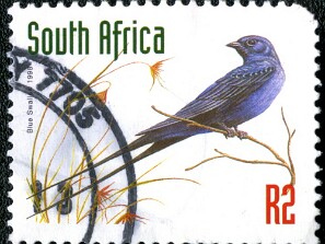 1998