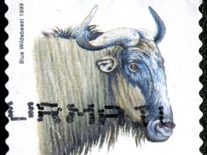 1999