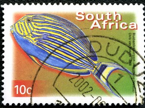 2000