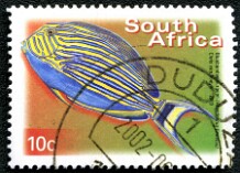 2000