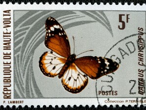 1966