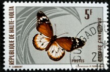 1966