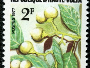 1977