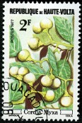 1977