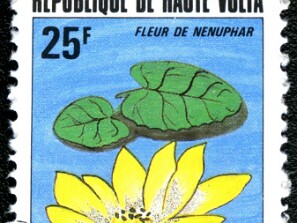 1982