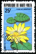 1982