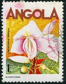 Angola