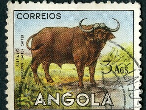 1953