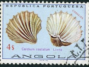 1974