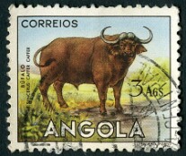1953